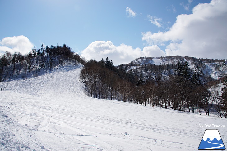 札幌国際スキー場 Welcome back POWDER SNOW !! ～パウダースノー復活～